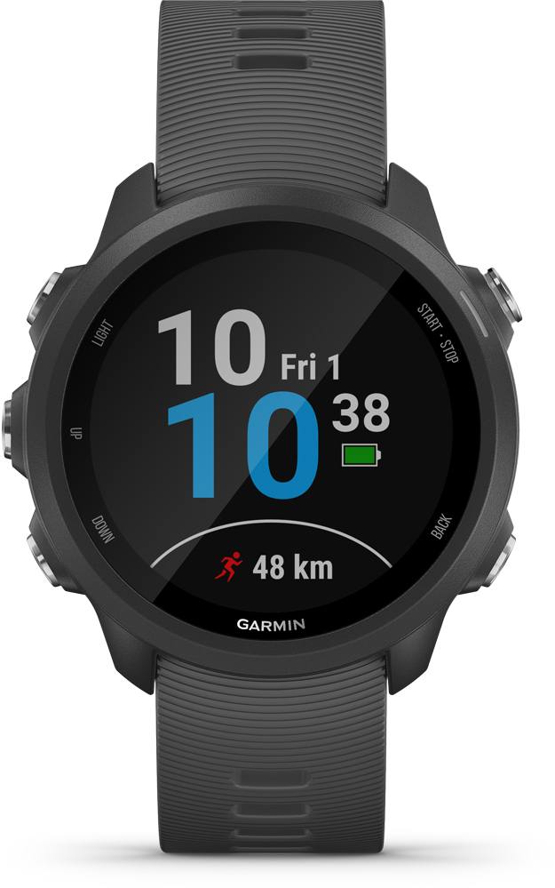 Forerunner 245 Slate